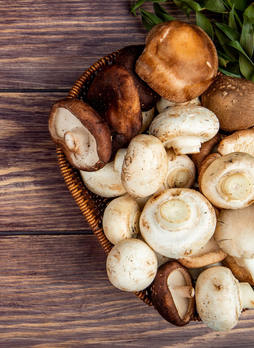 Panierte Champignons im Altwernigeröder Kartoffelhaus